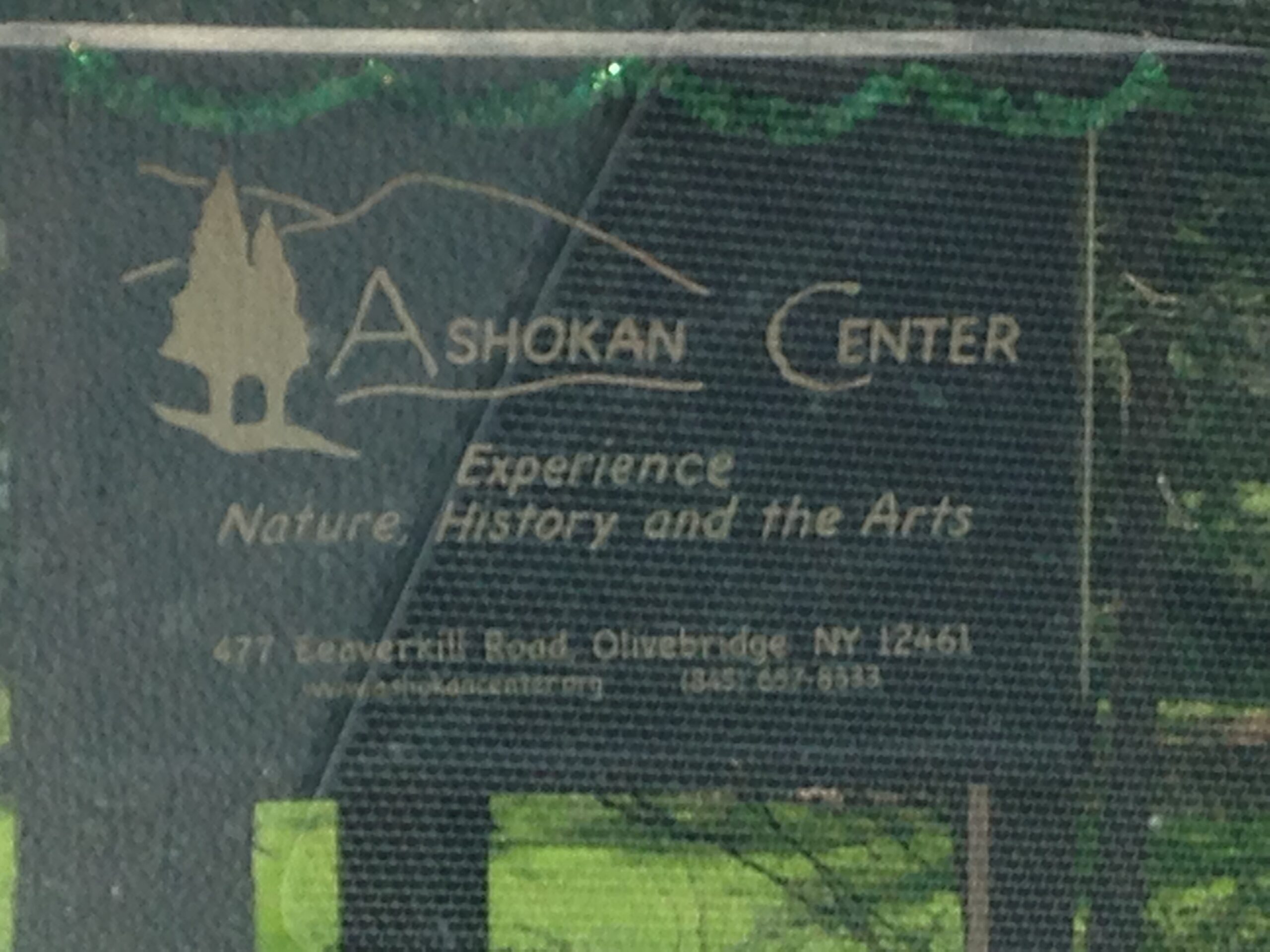 Us Plus Them Vi Wickam